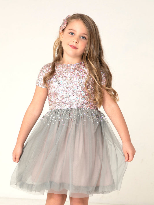 Cherry Crumble Grey Sequined Lovely Smart Dress