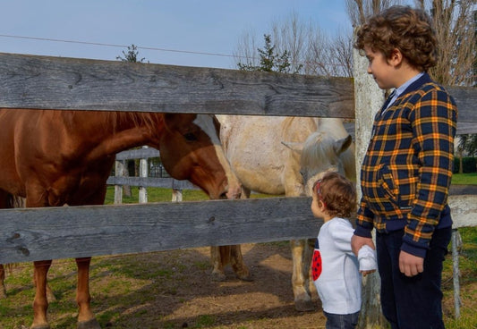 Travelling to Veneto...