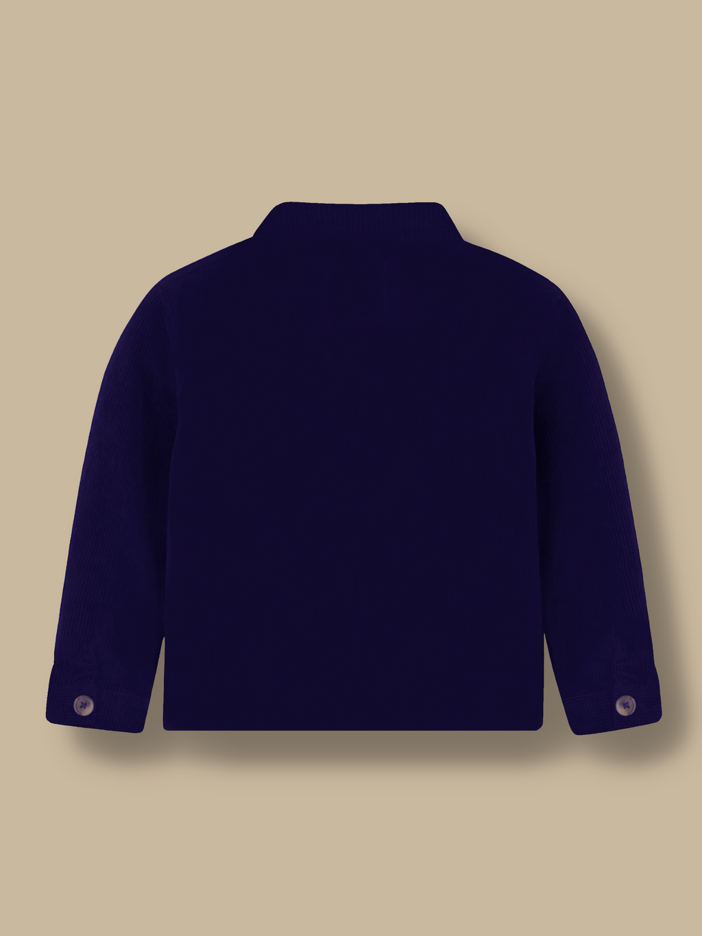 WinterWhiz Blue Jacket Edition