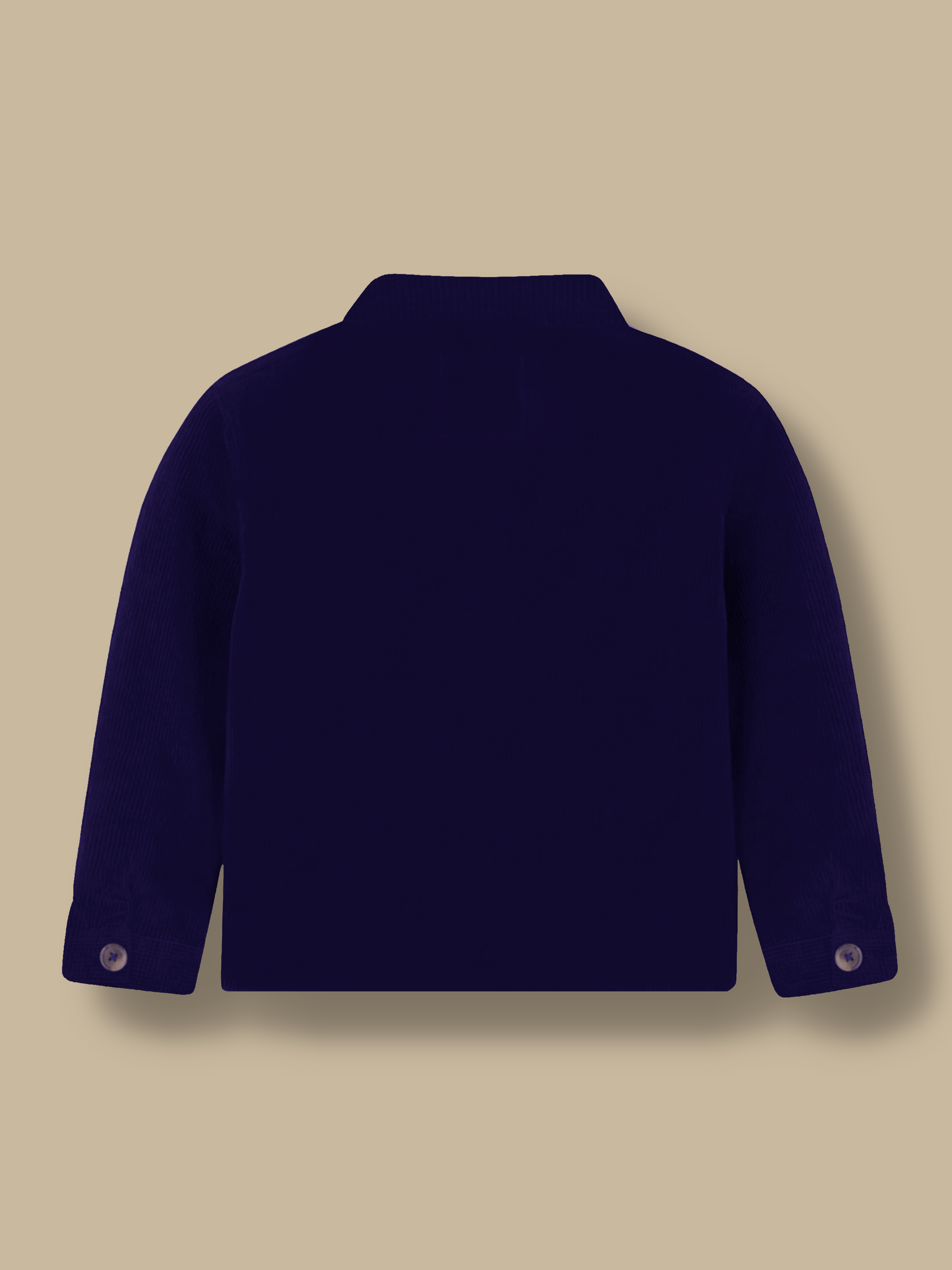 WinterWhiz Blue Jacket Edition