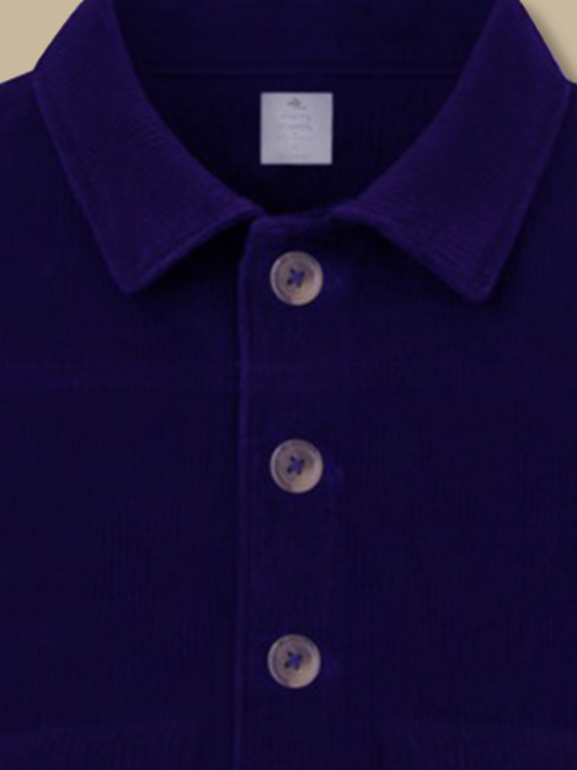 WinterWhiz Blue Jacket Edition