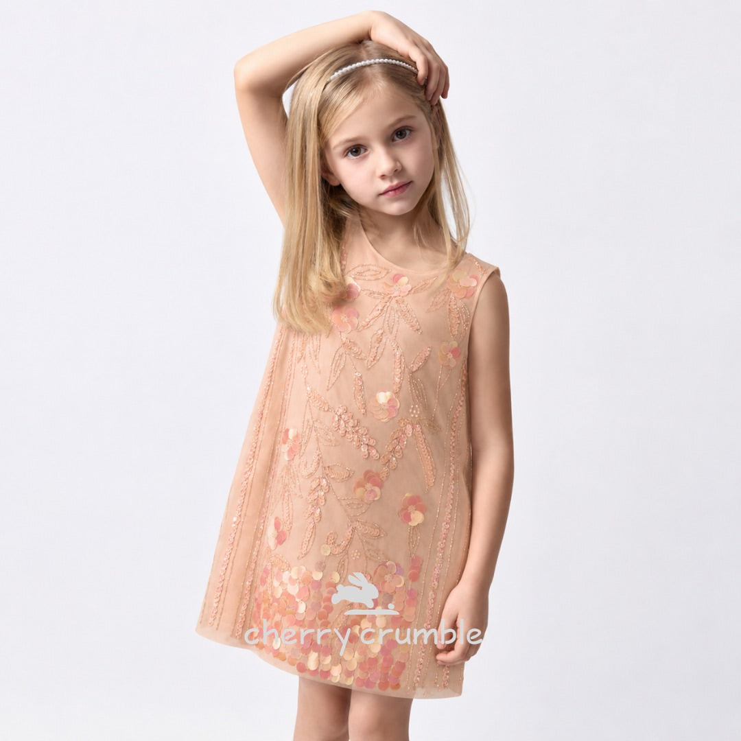 Golden Glimmer Embroidered Sequined Round Neck A-Line Dress