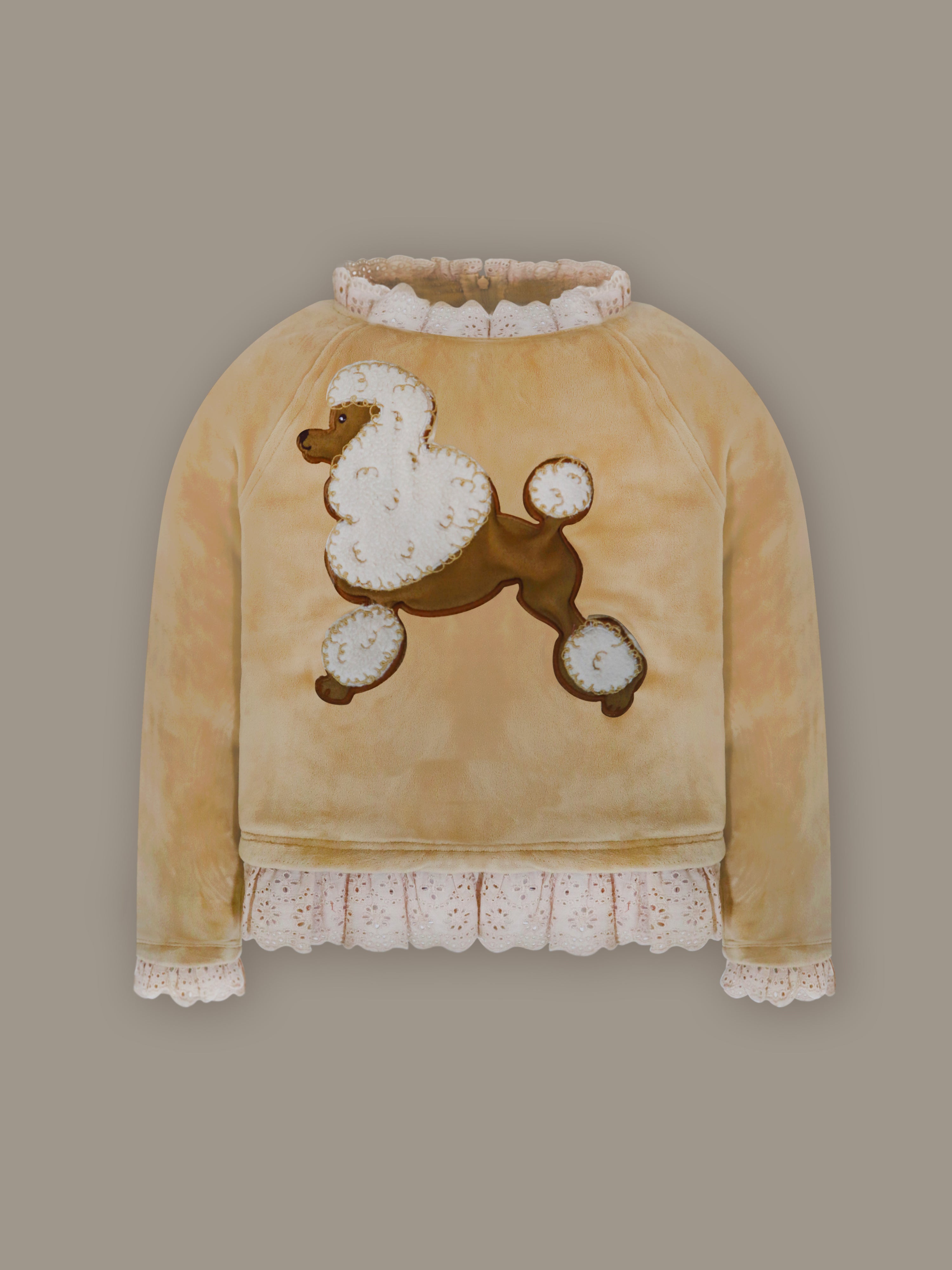 Cocoa Brown Velvet Cozy Sweatshirt