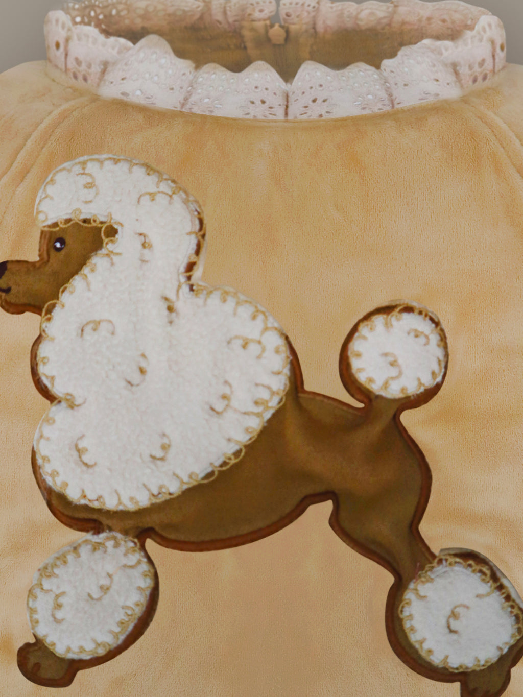 Cocoa Brown Velvet Cozy Sweatshirt