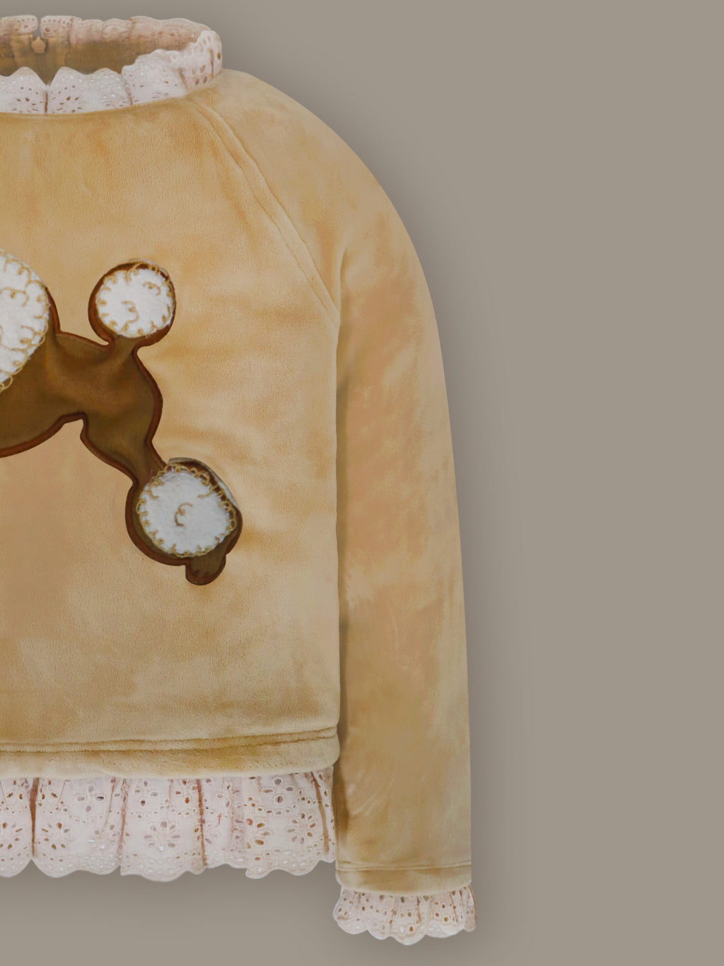 Cocoa Brown Velvet Cozy Sweatshirt