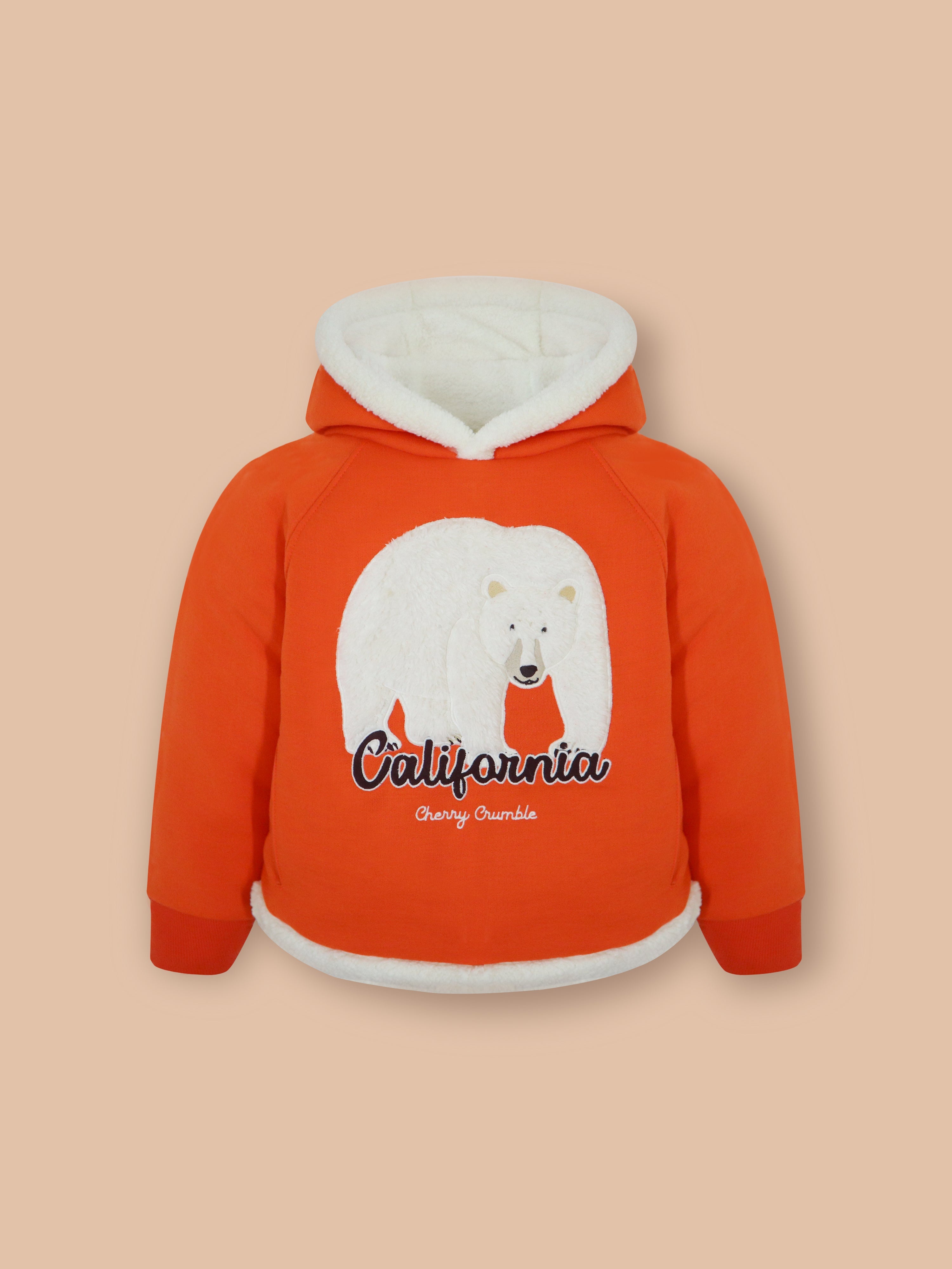 Unisex Sunny Orange Cozy Hoodie