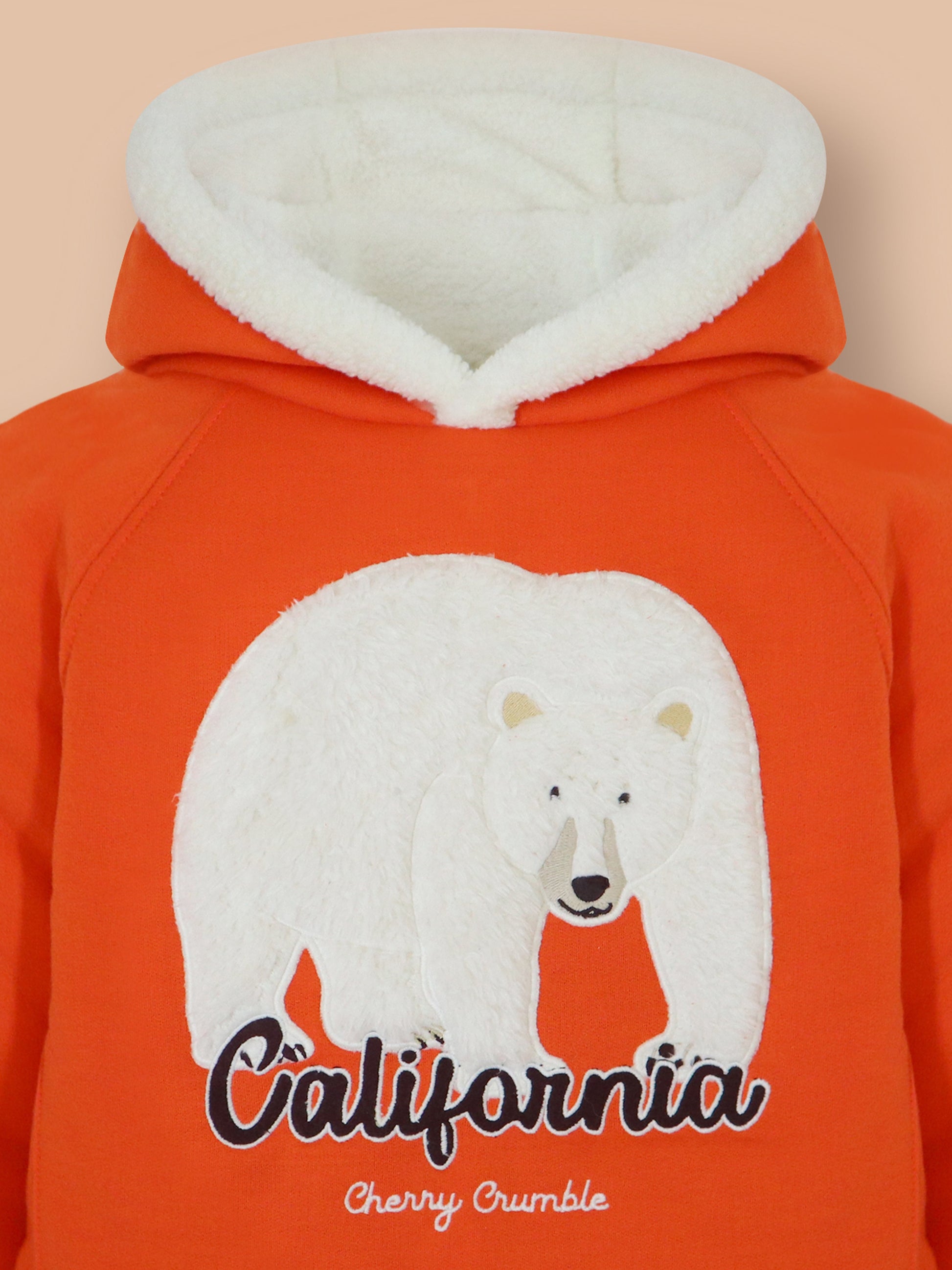 Unisex Sunny Orange Cozy Hoodie
