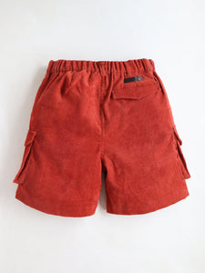 Cherry Crumble Boys Polyester Orange Self Texture Shorts