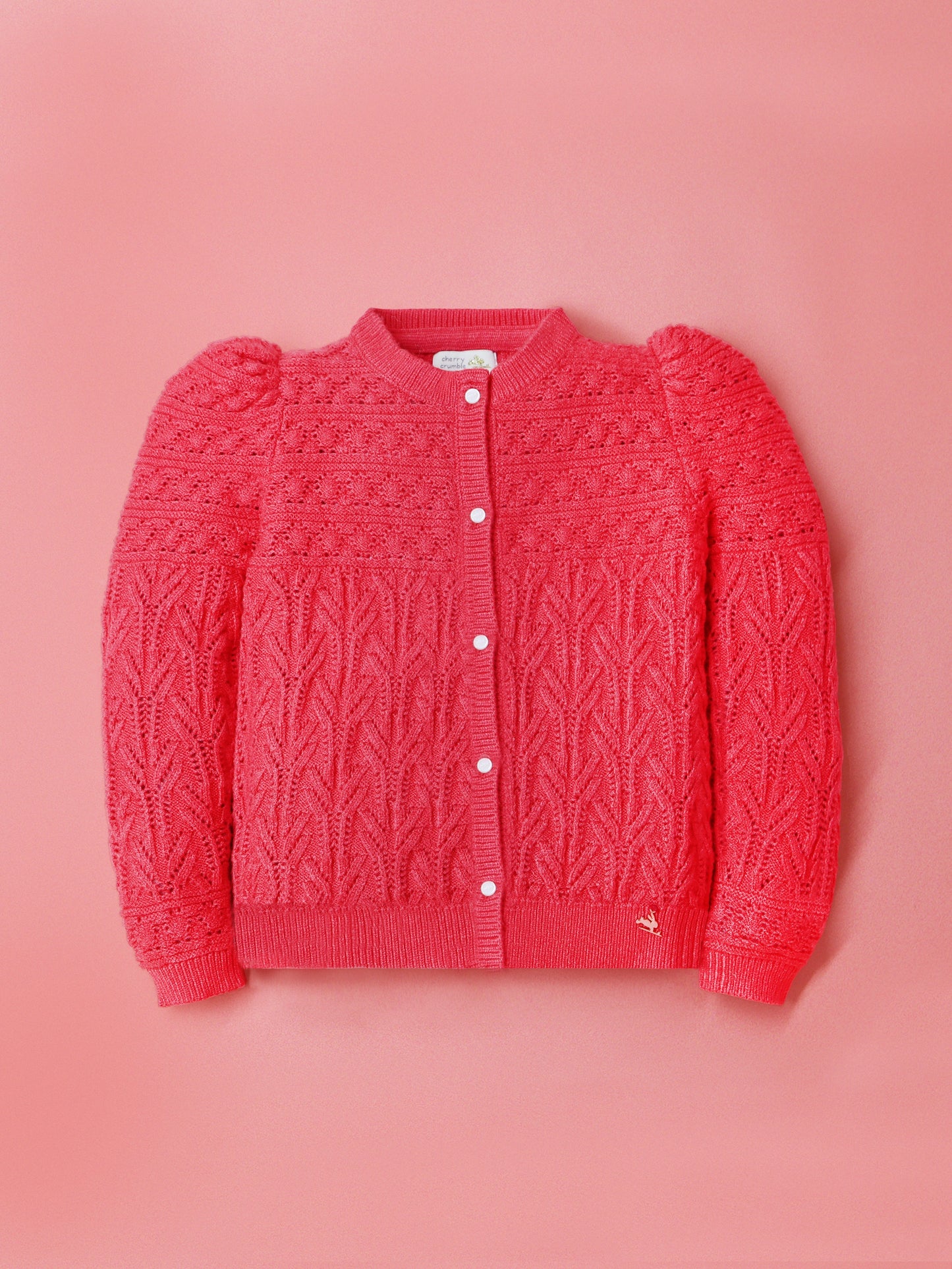 Cherry Crumble Lovely Stylish Sweater