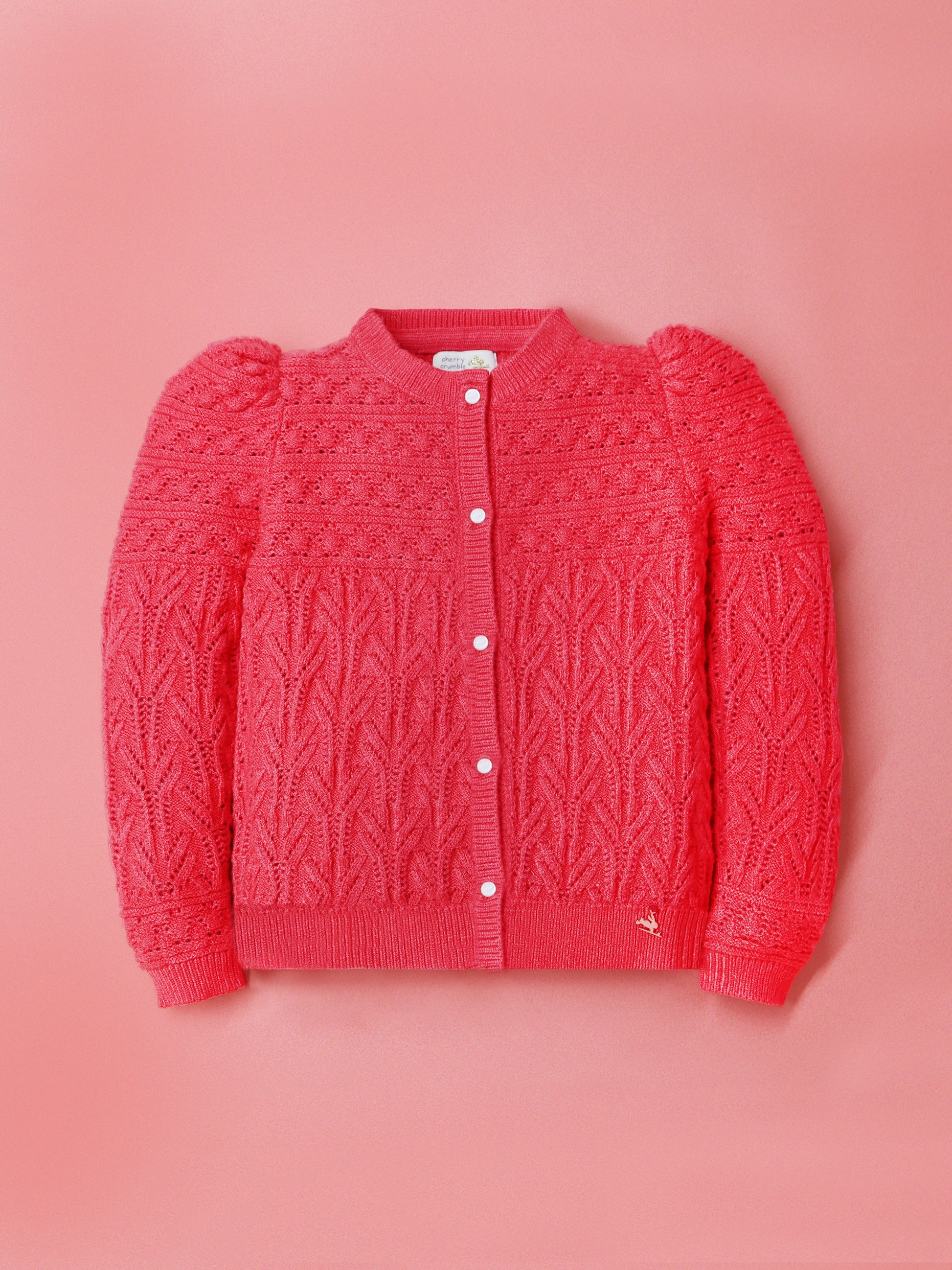 Cherry Crumble Lovely Stylish Sweater