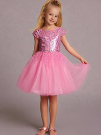 Pink Solid Playful Sequin Partywear Dress