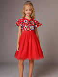 Cherry Crumble Red Solid Cute Graceful Dress