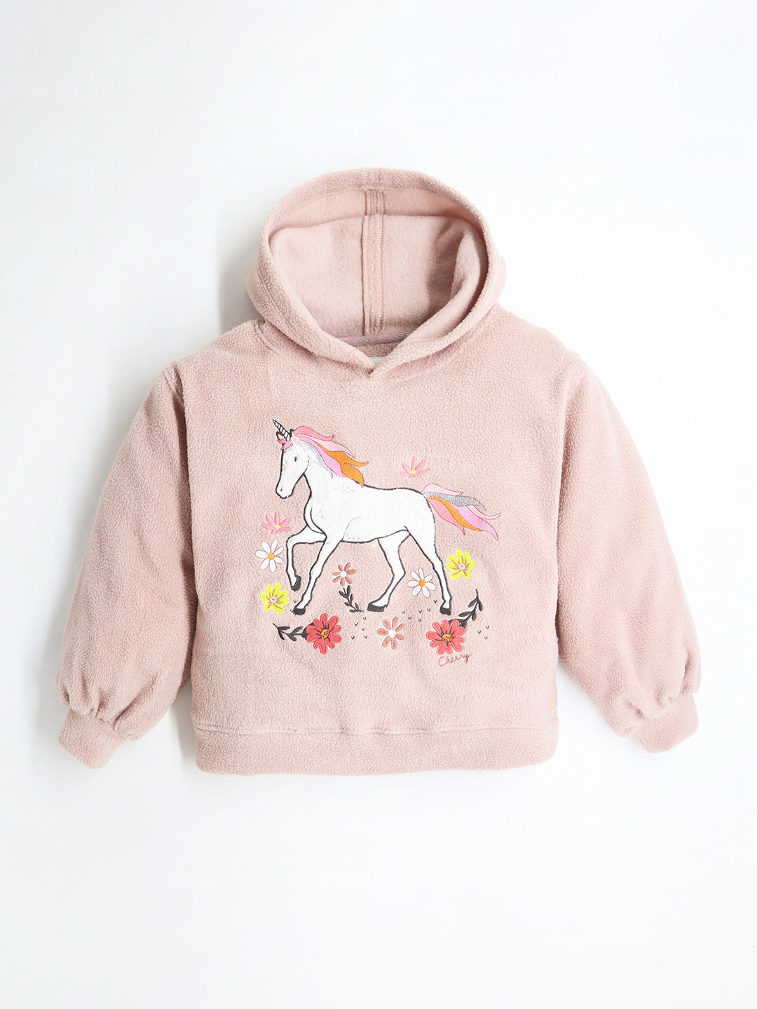 Cherry Crumble Salmon Solid Full Sleeves Hooded Loose Fit Applique Sweatshirt