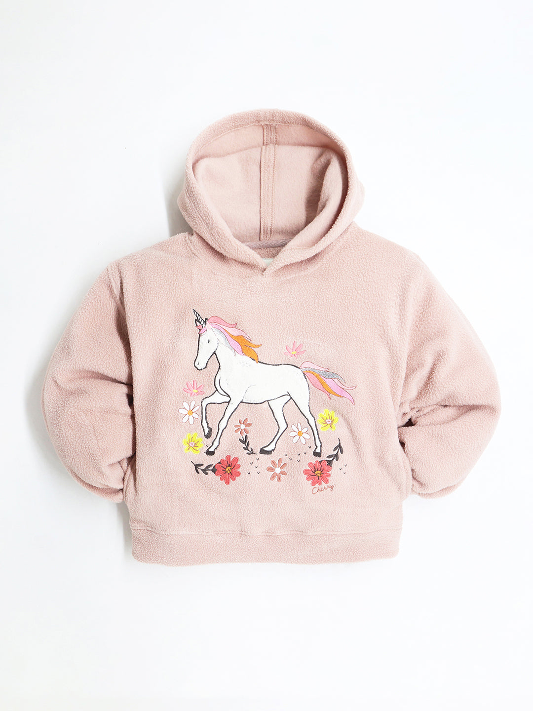 Cherry Crumble Salmon Solid Full Sleeves Hooded Loose Fit Applique Sweatshirt