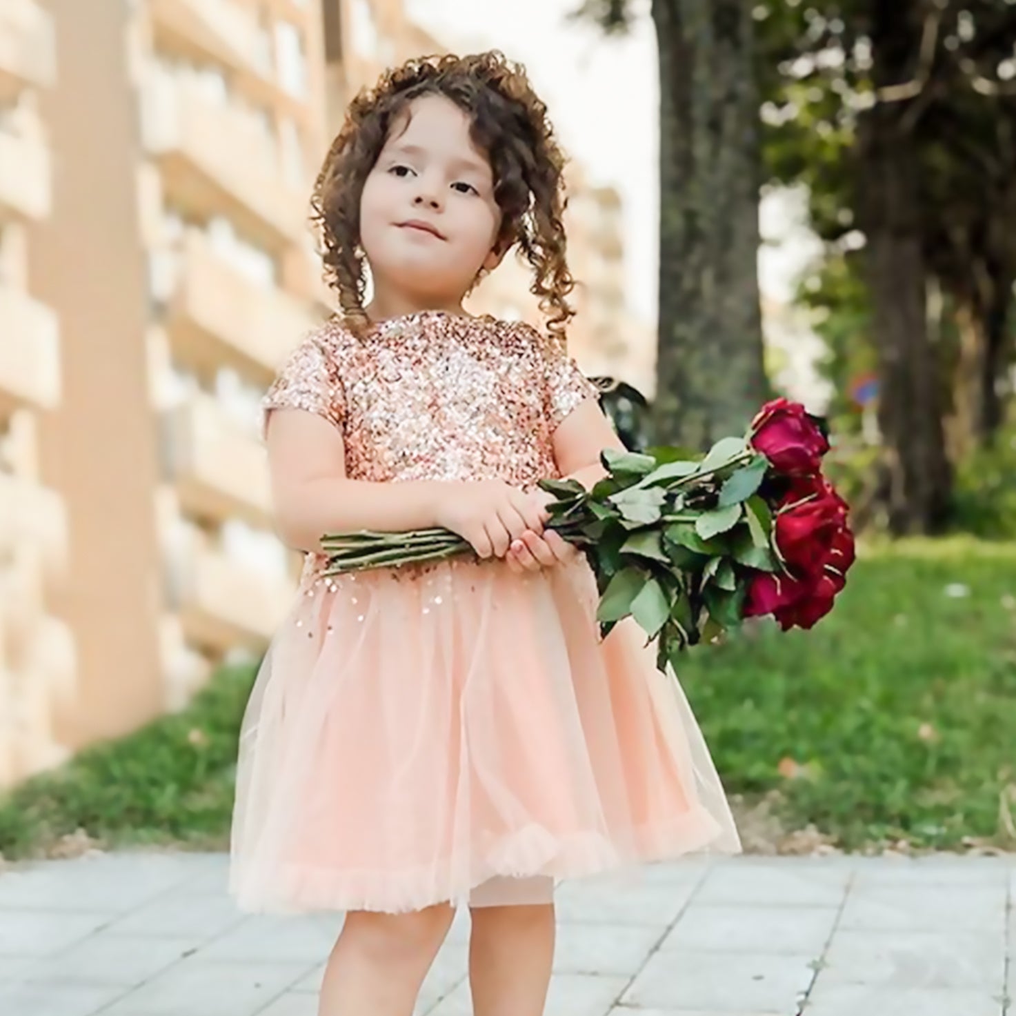 Cherry Crumble Sequined Sweet Stylish Winter Dress