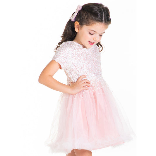 Cherry Crumble Pink Sequined Snug Graceful Dress
