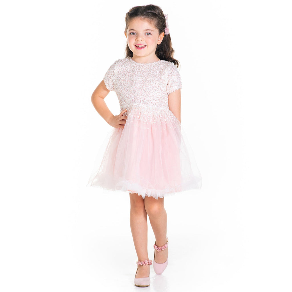 Cherry Crumble Pink Sequined Snug Graceful Dress