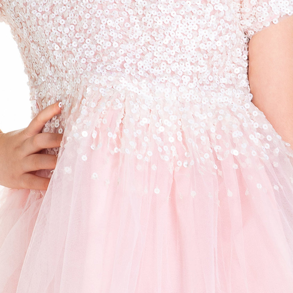 Cherry Crumble Pink Sequined Snug Graceful Dress