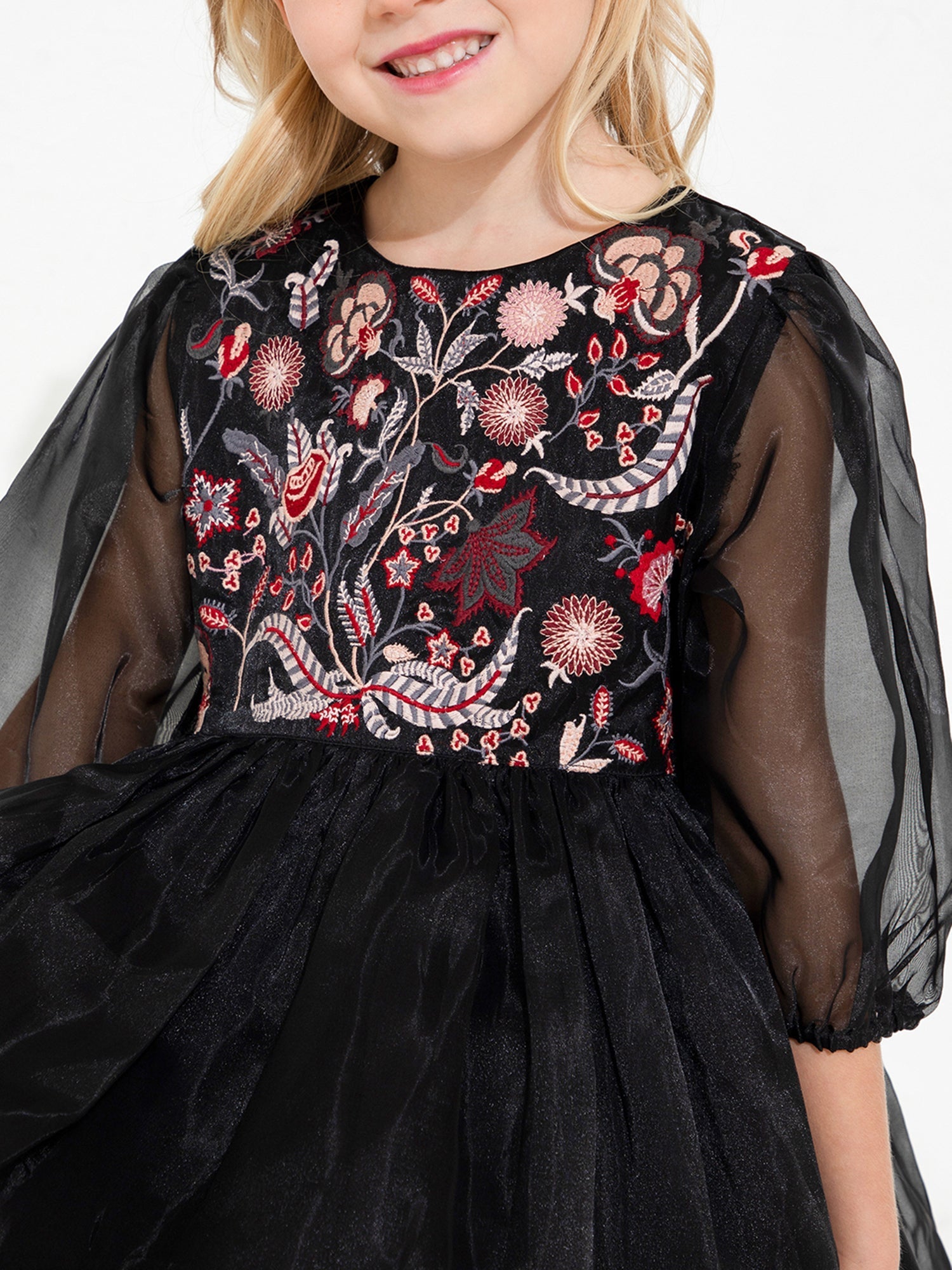 Cherry Crumble Black Embroidered Charming Classic Dress