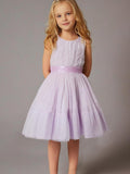 Cherry Crumble Pink Sequined Sweet Dress