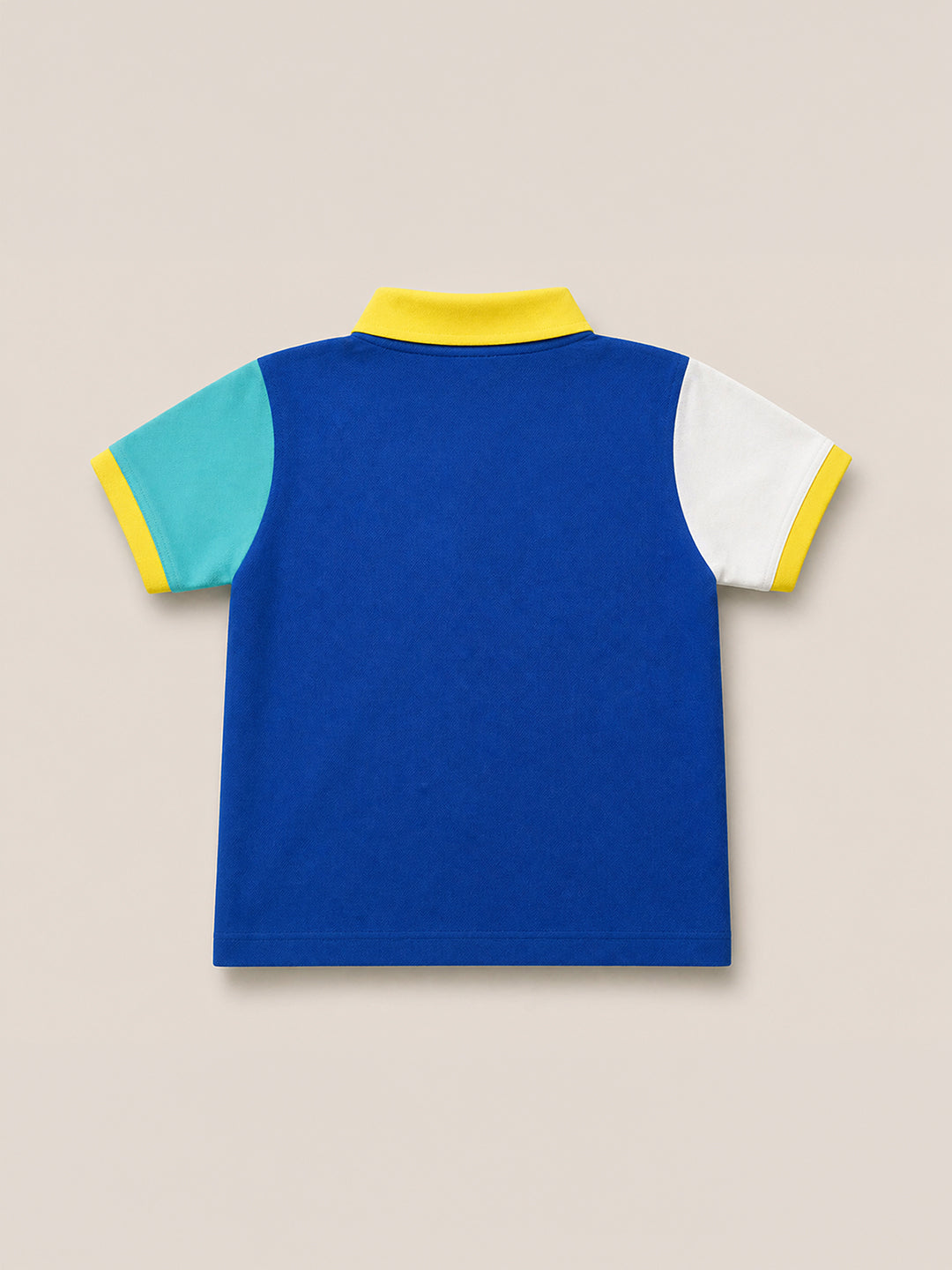 Multicolor Color Block Polo T-Shirt