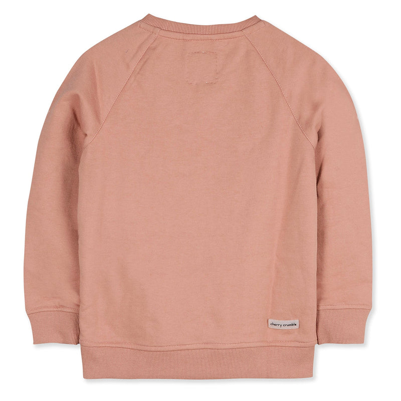 Baby Pink Xmas Cozy Sweatshirt