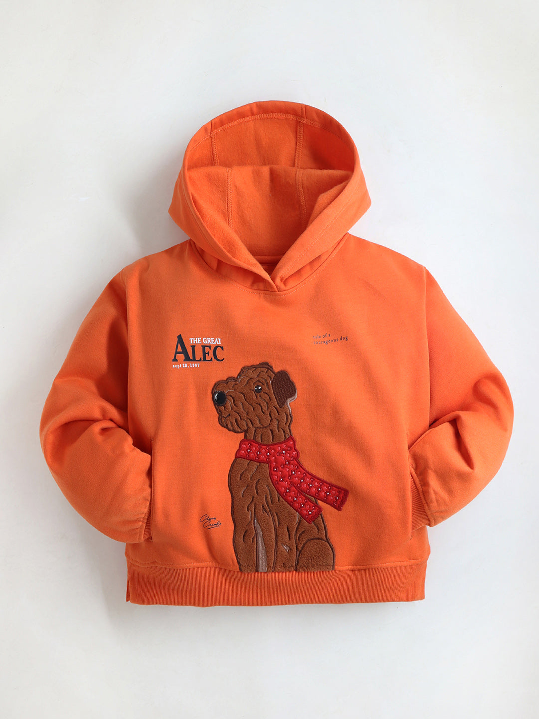 Cherry Crumble Orange Printed Applique Sweet Elegant Winter Sweatshirt