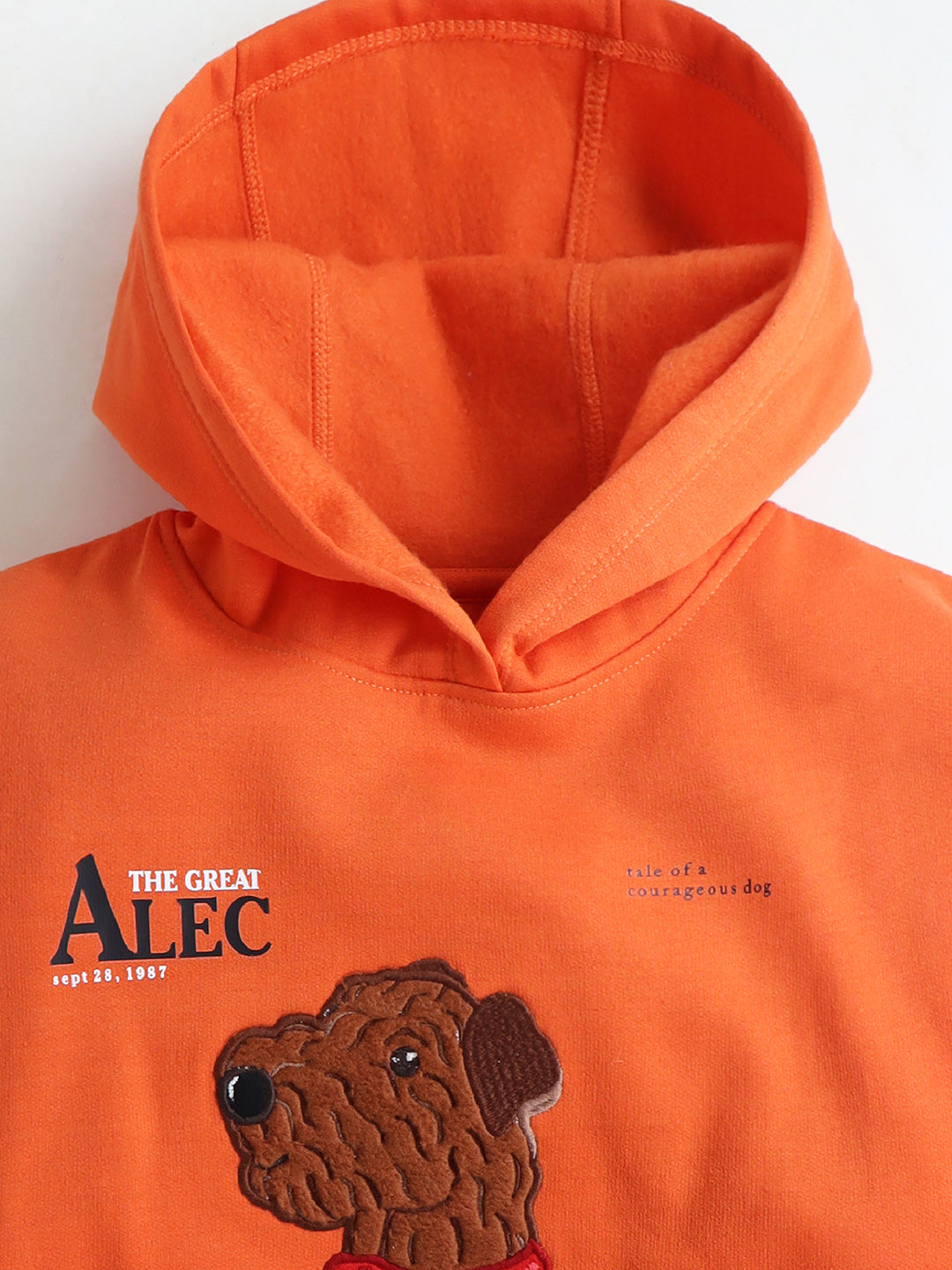 Cherry Crumble Orange Printed Applique Sweet Elegant Winter Sweatshirt