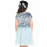 Sequins-Shelby-Dress