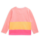 berry-colorblock-sweatshirt-ws-swshrt-6186ml