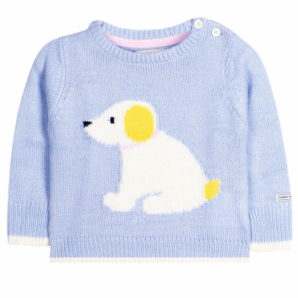 Animal Pet Knitted Sweater for Boys