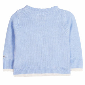 Animal Pet Knitted Sweater for Boys