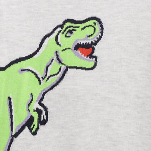 Dino Sweater for Boys