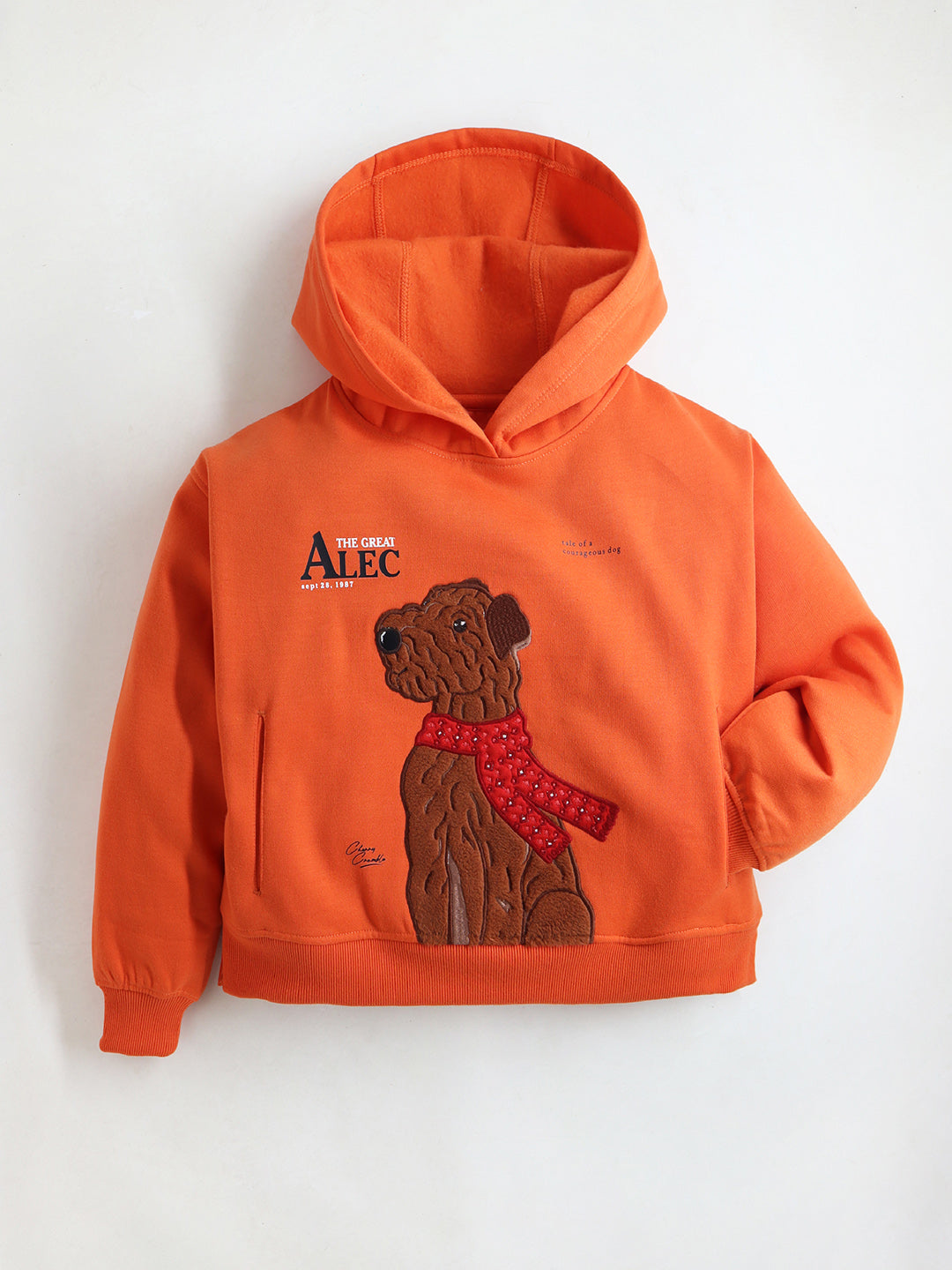 Vibrant Orange Unisex Full Sleeve Relax Fit Applique Cropped Hoodie